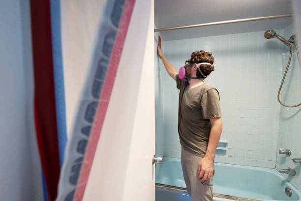 Best Mold Removal for HVAC Installations  in Fulton, NY