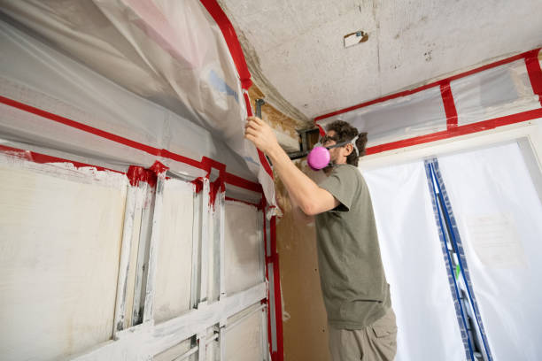 Best HVAC Mold Inspection and Cleaning  in Fulton, NY